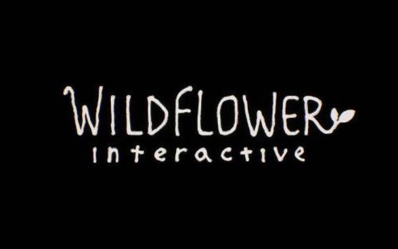 The new game from the former director of Uncharted 4 was officially announced at TGA!