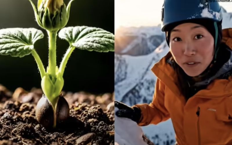 Google’s AI Video Generator Veo 3 Adds 1080P and Vertical Video Support, Prices Slashed