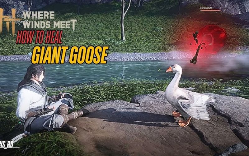 how to kill goose where winds meet